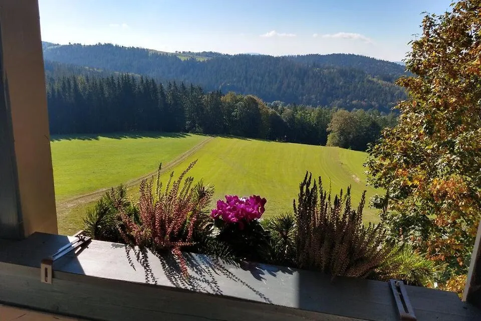 Apartment Ferienwohnungen Christa Grabmeier Grainet